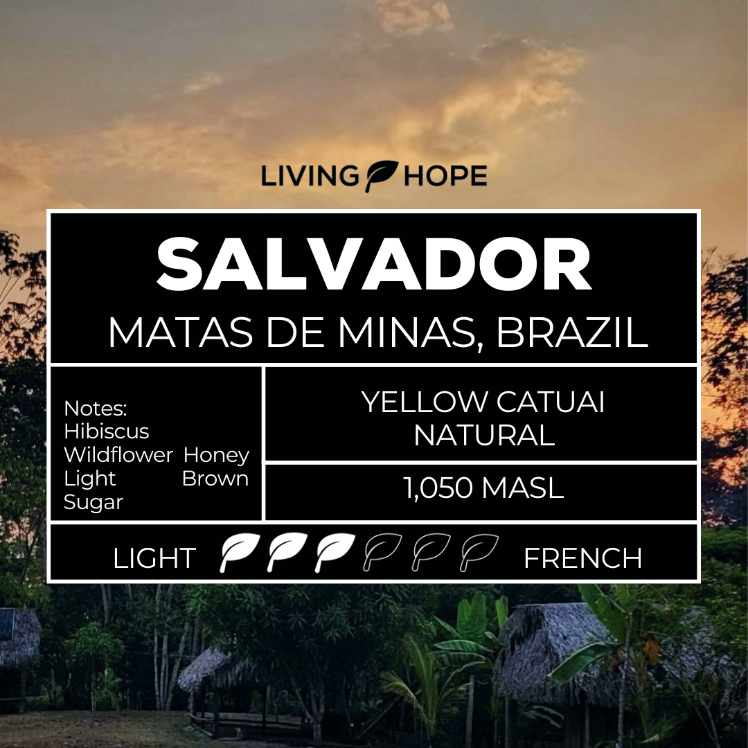 Light in the Dark Coffee Bag